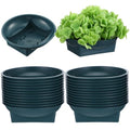 24-Pack Green 6.3 Inch Round Floral Foam Bowls, Floral Arrangement Containers for Centerpieces, DIY Wedding, Party, Home Decor Supplies