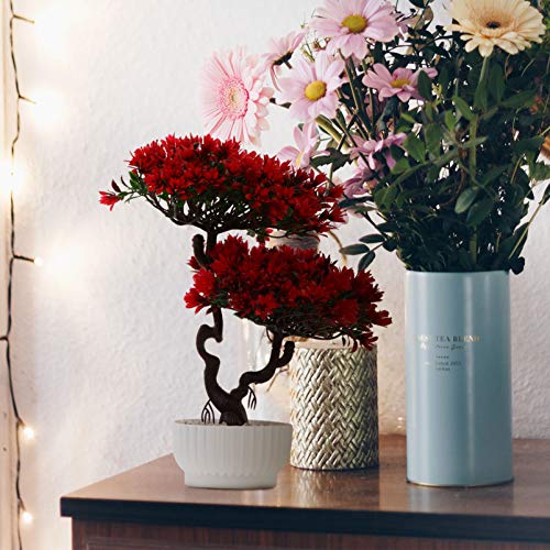 Fake Tree Artificial Bonsai Tree Plastic Fake Bonsai Tree Japanese Faux Potted Plant Simulation Guest-Greeting Pine Ornament Artificial Plant for Home Decor Indoor House Plants Indoors Live
