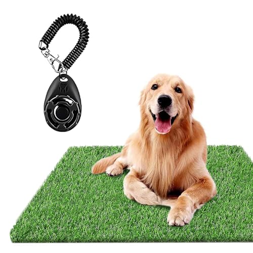 Dog Grass Pad for Dogs - size: 6 Count (Pack of 1)