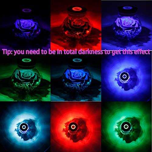 Preserved Real Roses with Colorful Mood Light Wishing Bottle, Eternal Rose，Never Withered Flowers, Table Decor,Christmas Anniversary Valentine's, Blue 4.3inch, 1pcs - color: Blue