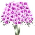 M METERXITY 6-Pack Artificial Orchid Flowers 9 Large Petals 37 Inch Faux Phalaenopsis Silk Bouquets Real Touch Dark Purple White Fake Orchids for Home/Wedding/Christmas/Party/Garden Office - color: Dark Purple White