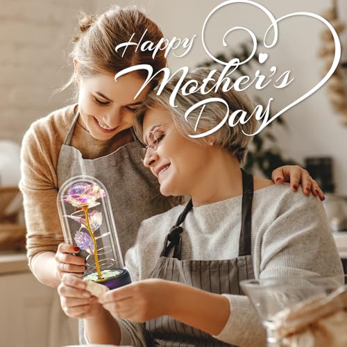 Otlonpe Mothers Day Flowers Gifts for Mom from Daughter Son, Preserved Forever Glass Light Up Rose Gifts for Grandma Wife Women Girlfriend Sister, Gift for Teacher Appreciation Graduation (Colorful) - color: Colorful