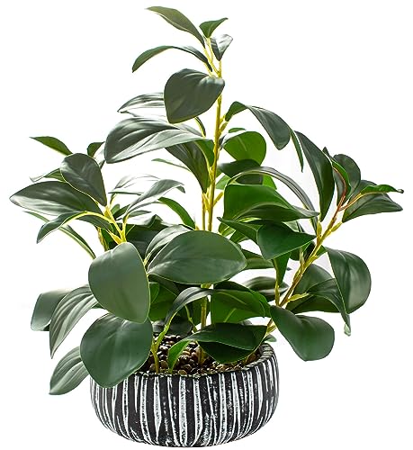AlphaAcc Artificial Plants Decor Greenery Fake Succulents Indoor Potted Fake Plant with Rustic Black Clay Planter for Home Decor Farmhouse Room Bathroom Bedroom Kitchen Office Table Decor - color: 12.8" H