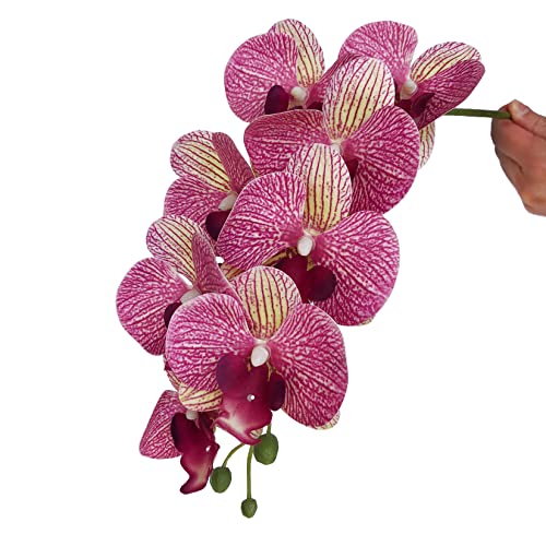 FagusHome 32 Inch Artificial Phalaenopsis Flowers 6 Pcs Artificial Orchid Flowers Stem Plants for Home Décor (Purple Dapple) - color: Purple Dapple