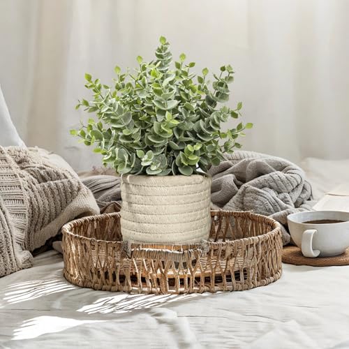 Hopewood Faux Plants, Fake Plants Eucalyptus Potted for Home Office Desk, Artificial Eucalyptus with a Weave Basket for Indoor Greenery Tabletop - color: Green Plant Style E