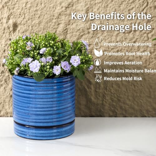 HASENSE Ceramic Plant Pots with Saucers Set of 4, 4.6 Inch Planters for Indoor Plants with Drainage Holes,Blue Flower Pots for Snake Plants & Cactus, Modern Farmhouse Windowsill & Tabletop Decor - color: Blue