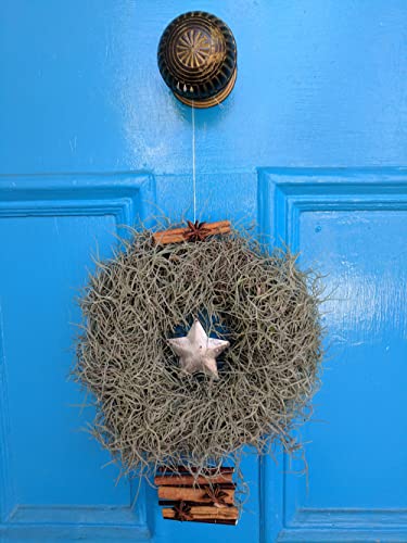 Mosser Lee ML0560 Spanish Moss, 250 Cubic Inches (Pack of 8) - size: Pack of 8