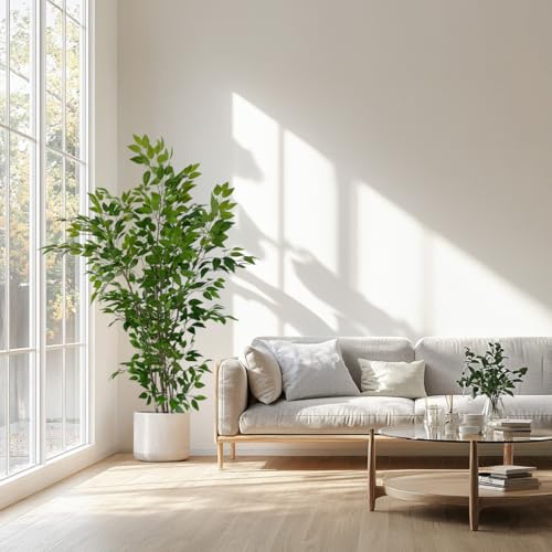 6ft Artificial Ficus Tree with White Plastic Planter | Collapsible trunk structure enables quick assembly and compact space-saving storage - color: Green, size: 6ft