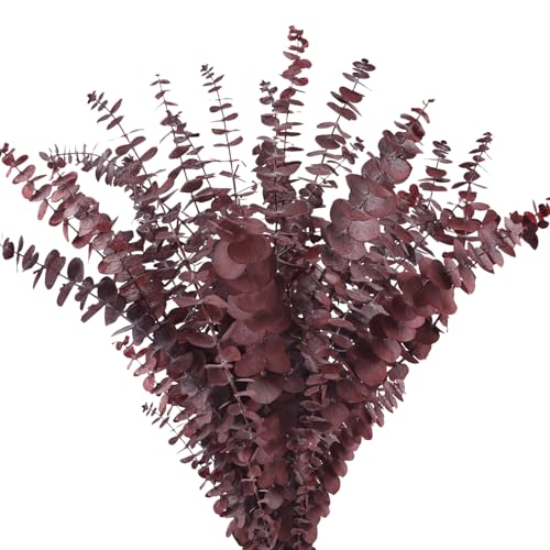 Real Dried Eucalyptus Stems, 20Pcs 17inch Red Preserved Fresh Eucalyptus Stems Plant for Home Vase Wedding Festival Floral Arrangement Fall Flowers Decoration - color: Red, size: 20Pcs Eucalyptus Stems