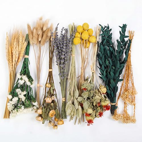 LUXEEASE Vintage Dried Flowers Bouquet 128 Stems, 10 Kinds Natural Preserved Flowers (Lavender, Eucalyptus, Bunny Tails) 10-12 Inches Long, Rustic Boho Home Wedding Centerpiece Décor - color: Golden & Green