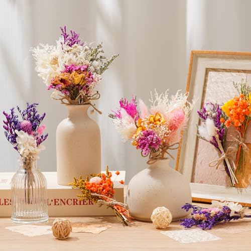 10/12/24 Pack Dried Flowers for Vase Various Mini Bouquet Dried Small Wildflowers Natural Real Flowers Bulk for Crafts DIY Wedding Decor (12, Flowers Blooming1) - size: Flowers Blooming1