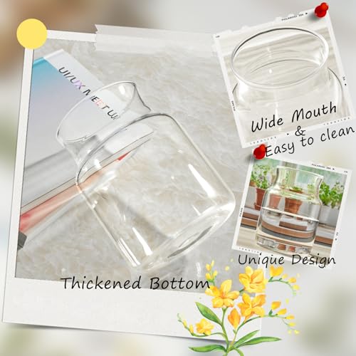 Clear Glass Vase, Large Flower Vase, 8-inch Glass Flower Vase for Plants, Wide Mouth Vase for Home, Wedding, Living Room, Dining Table - size: 6"W x 8"H