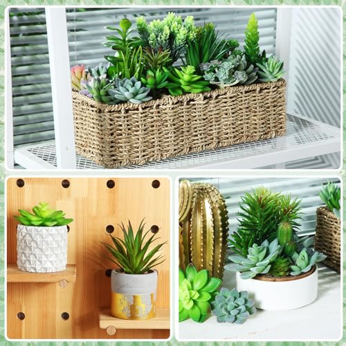Tigeen 80 Pcs Artificial Plastic Succulents Realistic Textured Assorted Decorative Faux Succulent Fake Faux Succulents Unpotted for Lotus Landscape Garden Arrangement (Classic Style) - style: Classic Style