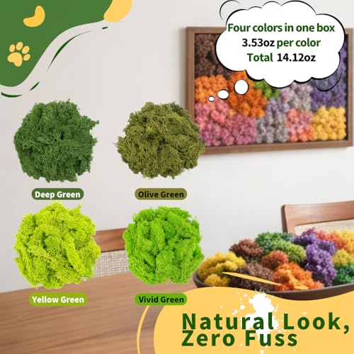 Preserved Reindeer Moss, Natural Decorative for Home Decor, DIY Crafts, Moss Wall Art, Terrariums, Floral Arrangements, Wedding & Holiday Decorations, Total 14oz (Olive Haven) - color: Olive Haven