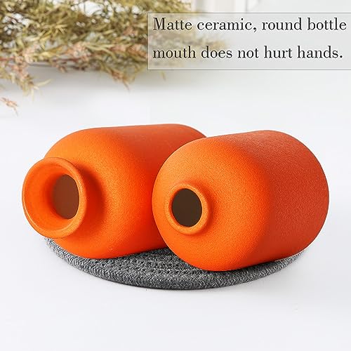 CEMABT Ceramic Orange Vases Set of 3 Small Flower Vases for Decor, Modern Rustic Farmhouse Home Decor, Decorative Vases for Pampas Grass,Idea Shelf,Table,Bookshelf,Entryway- Distressed Decor - color: 3set-orange