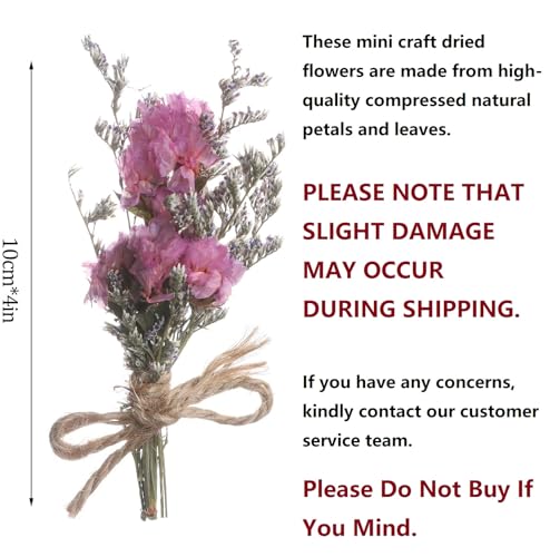 8Pcs Mini Dried Flowers Natural Forget-me-nots Dried Flowers Bouquet Don't Forget Me Flower Bouquets Natural Gypsophila Real Plant Stem Bunch for DIY Wedding Decor(be Some Slight Damage in Reality) - color: Type2