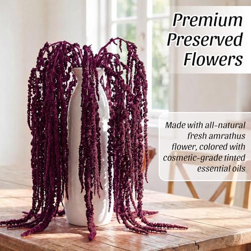 Suncalla 12 Pcs Dark Purple Spring Natural Dried Amaranthus Hanging Flowers Amaranthus Artificial Flowers for Wedding Arch Bouquet Floral Garland Wall Home Decoration (23 Inch) - color: Dark Purple