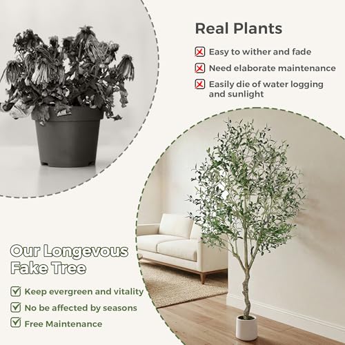 Jocoevol Olive Tree Artificial Indoor 6FT，Tall Faux Olive Tree with White Planter，Realistic Artificial Olive Tree Indoor with Natural Trunk and Lifelike Fruits for Home Office Living Room - size: 6ft