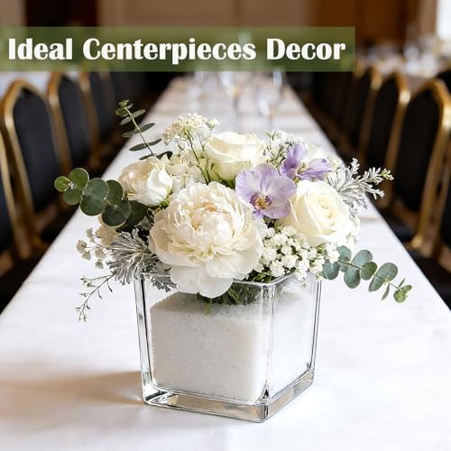 6 Pack Square Glass Vase 4" x 4" x 4", Clear Cube Vases for Centerpieces, Thickened Glass Flower Vases, Plant Terrarium, Floating Candle Holder for Wedding Party, Office/Home Decor, Events - size: 4"-6Pack