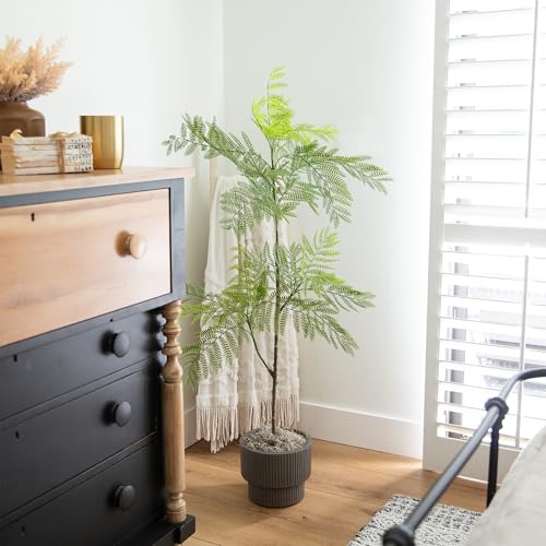 Nearly Natural 5ft Jacaranda Artificial Tree - Lifelike Green Leaves, Flexible Branches, Premium Craftsmanship, Includes Nursery Planter - Ideal for Home Decor in Living Rooms, Bedrooms, Entryways