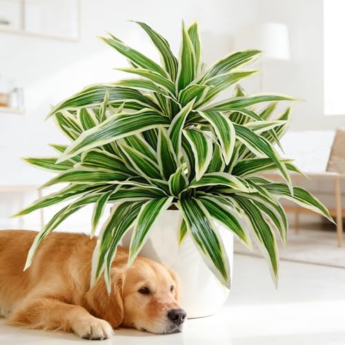 Fake Ferns,2 Planter 35in Outdoor Faux Plants UV Resistant,3D Real Touch Fake Plants Total 160 Blades,Weatherproof Artificial Plants Outdoor Indoor for Garden Porch Home Decor - color: Maguey, size: 8Pcs