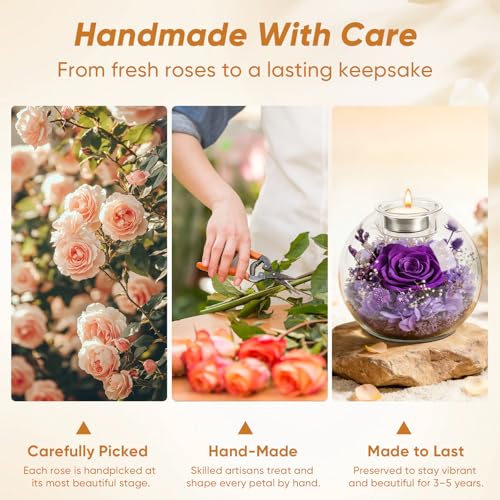 Preserved Real Rose in Glass with Scented Candles for Mom Her Wife Girlfriend Grandma Birthday Anniversary Romantic - color: Zenith Purple