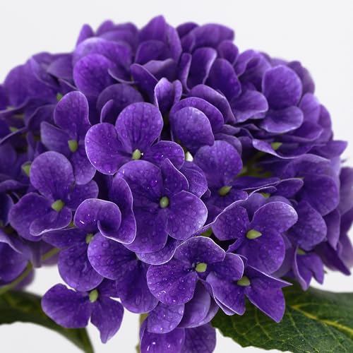 Coferset 5pcs Hydrangea Artificial Flowers Real Touch 20 inch Lifelike Hydrangea Flower for Home Wedding Office Party Living Room Decoration (Purple) - color: Purple