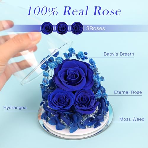Mothers Day Flowers Gifts for Mom Flowers for Delivery Preserved Flowers Forever Real Fresh Roses in Glass Angel Figurines Birthday Gifts for Women Anniversary Present for Grandma Wife from Daughter - color: Royal Blue (Rose, Baby's Breath, Hydrangea)