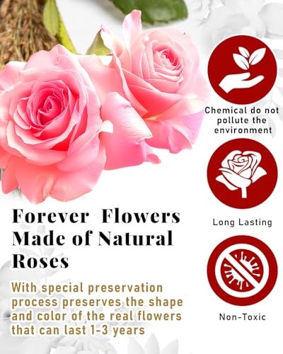 Changshunqi 16 Flowers Preserved Roses Gifts for Women, Pink Forever Flowers Womens Birthday Gifts for Women Wife Friends Preserved Flower Rose Gift for Mom Her Wife gf - color: Blush Pink