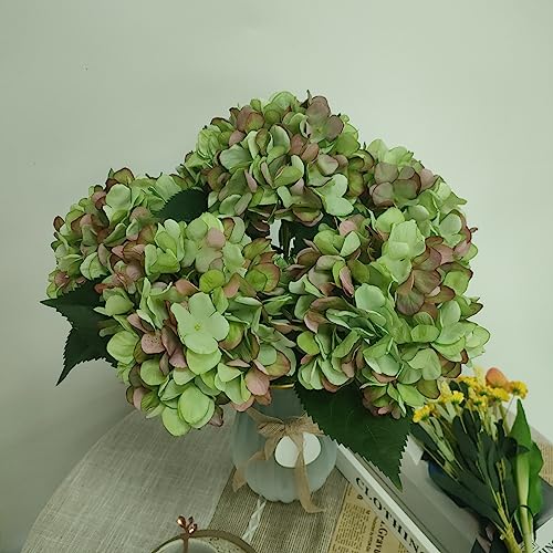 Green Hydrangea Artificial Flowers,6 Pcs Faux Green Hydrangea Flowers, Artificial Hydrangeas Flowers with Stems,Fake Hydrangea Flowers, Hydrangea Silk Flowers (6, Green) - color: Green