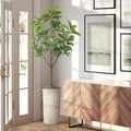 Artificial Tree in Off-White Texture Planter, Fake Magnolia Tree for Indoor and Outdoor Home Decoration - 70" Overall Tall (Plant Pot Plus Tree) - style: Magnolia Tree