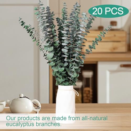 Tavkite 20 Pcs Dried Eucalyptus Stems for Shower, 17'' Natural Real Preserved Eucalyptus Leaves Branches Hanging, Fresh Plant Bundle for Home SPA Bathroom Wedding Wall Vase Decor, Bath Essentials - size: 20PCS