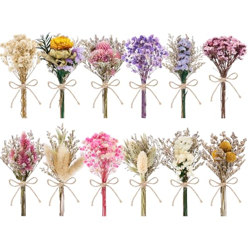 12/24 PCS Charming Dried Flowers Bouquet for Vase Various Dried Wildflowers with Stems Mini Handmade Wildflowers Natural Real Flowers Bulk Flowers Craft (Various Series, 12 PCS) - color: Various Series