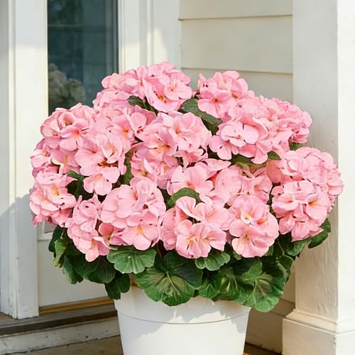 Geranium Artificial Flowers for Outdoors Spring UV Resistant Silk Geranium Pink Fake Flower Outdoor Plants for Garden Home Porch Courtyard Window Box Decoration 4 Pcs - color: E - Pink
