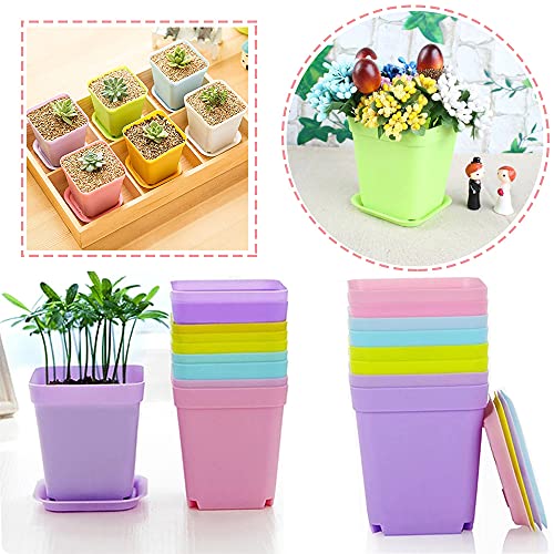 Haawooky 24 Pack Colorful Flower Pots Square Plastic Plant Pots Succulent Planter Nursery Pots with Saucers for Your Room,Garden Office and Balcony Decor - size: 24 pack
