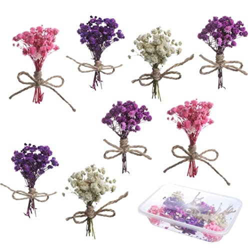 8Pcs Mini Gypsophila Bouquets Natural Gypsophila Dried Flowers Bouquet Dry Flower&Leaves Lagurus Dried Embossing Flower Bundles Plant Stem Bunch for DIY Craft,Photo Props,Party,Wedding Card Decoration - color: Type1
