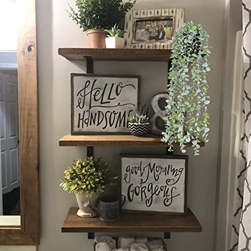 Fake Hanging Plants Eucalyptus Potted Artificial Plant Small Faux Ivy Vines Decor for Floating Shelf Kitchen Bathroom Cabinets Indoor Outdoor Pack of 2 23.6 Inches Long