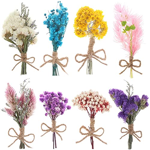 WWahuayuan 8 Pcs Mini Gypsophila Daisy Dried Flowers Bouquets for DIY Craft, Home, Wedding Decor - color: Type1