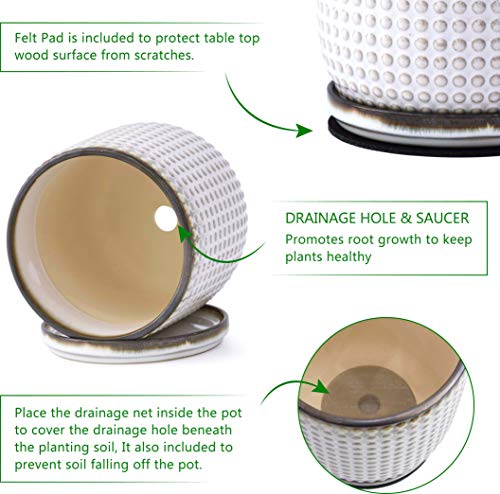D'vine Dev 6 Inch Ceramic Beaded Stoneware Planter Pot - Flower Pot with Drainage Holes and Saucers for Indoor Succulent Plants or Flowers, Smoked White, 27-C-X-1 - color: Smoked White, size: 5.8 Inch