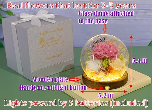 Valley of Rain & Forest Long-Lasting Real Flowers, Unique Floral Gift for You to Send Love for All Occasions, for Indoor Decoration (Pink Carnation, White & Yellow Roses arrangement) - color: Pink Carnation, White Rose, Yellow-Champagne Rose