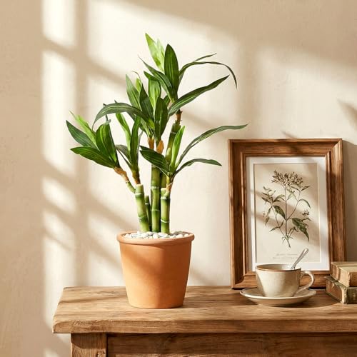 2 Pack Artificial Lucky Bamboo Plant 16 x 4 Inch Potted Fake Plant Decoration Green for Farmhouse Home Office Kitchen Counter Top Indoor Decor