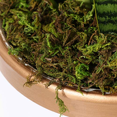 IMIKEYA Artificial Moss, 60g Fake Green Moss for Crafts, Potted Plants, Fairy Garden Decor, Wedding Table Centerpieces, Soil Cover for Indoor Planters and Terrariums