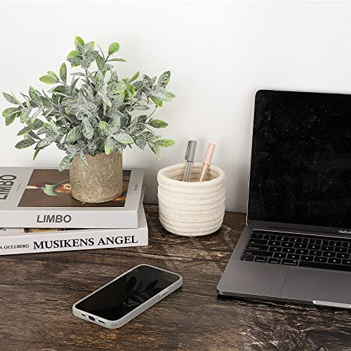 Hopewood Faux Plants, Small Fake Plant for Bathroom, Decorative Artificial Plants for Farmhouse Desk Shelf Decor with A Weave Basket (9.8inch) - color: Green Plant Style a
