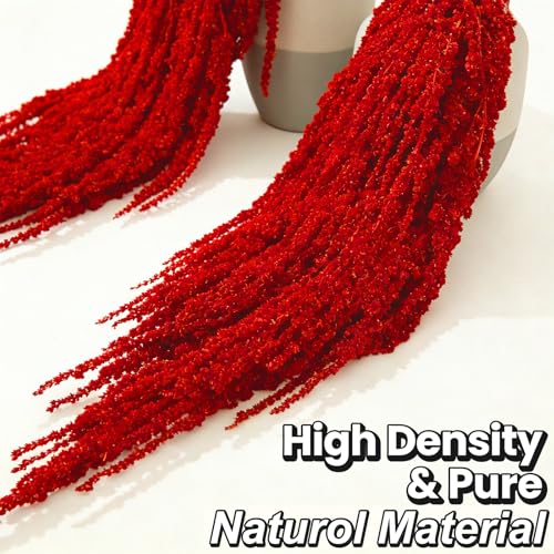 5Pcs Dried Amaranthus Hanging Flowers, 53" Neon Green Preserved Natural Wisteria for Wedding Arch, Table Centerpiece, Wall Hanging Lover Tears, Floral Arrangement (Deep Red) - color: Deep Red