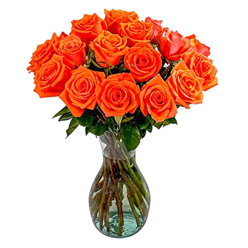 25 Orange Roses | Arabella Bouquets | Real Fresh Flowers for Delivery, Gift for Birthday Women, Congratulations, Anniversary, Thank You, Mother's Day - color: Orange, size: 25 Stems