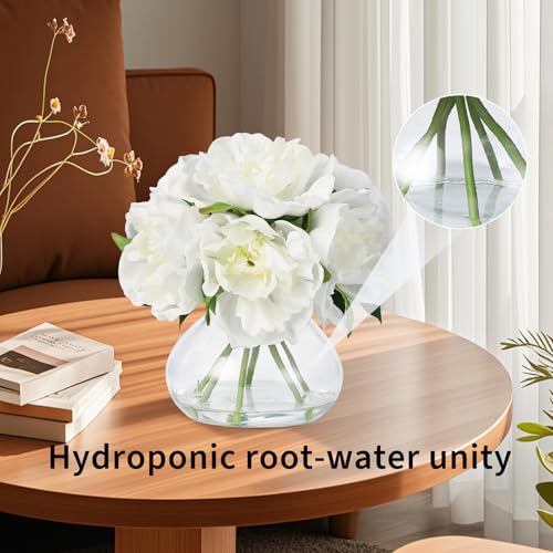 Artificial Peonies with Glass Vase, Faux Peony Silk Flower Arrangement with Faux Water, for Bathroom, Table, Shelf, and Home Decor Centerpiece, Elegant Spring Decor (White) - color: White, size: Peony, PU