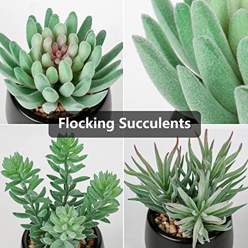 Briful 3PCS Artificial Succulents Fake Plants Mini Succulents Potted in Black Ceramic Pots Artificial Plastic Plants for Home Office Desk Farmhouse Bathroom Décor - color: Type #3