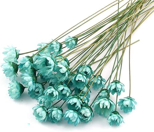 100 Stems Natural Dry Flowers Brazilian Small Star Daisy Decorative Dried Flowers Mini Daisy Chamomile Bouquet for Wedding Floral Arrangements Home Decorations (Blue) - color: Blue
