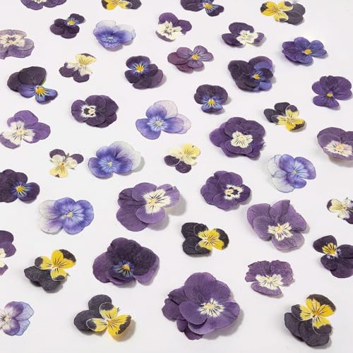 60Pcs Dried Pressed Pansies Flowers for Cake Decorating, Purple Real Dry Flower for Resin Art Crafts Jewelry Decorations - size: Purple