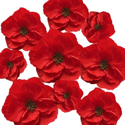 BRT Bearingshui Red Paper Flowers Decoration for Wall Total 9 Pcs, Artificial Flowers for Wedding Decor,Flower Backdrop Decor, Baby Bridal Shower Birthday Party, Red 3D Wall Flowers Decor - color: Red